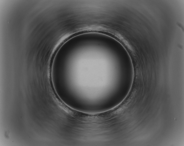 X0000091851232200709121304