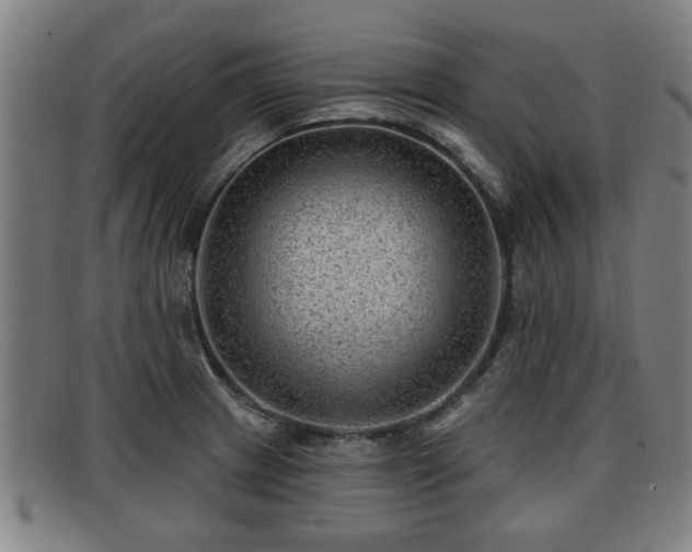 X0000091851233200709121304