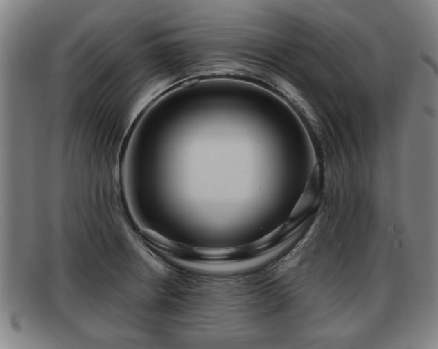 X0000091851234200709121304