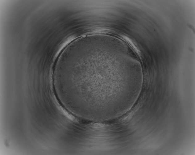 X0000091851235200709121304