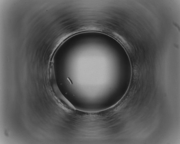 X0000091851236200709121304