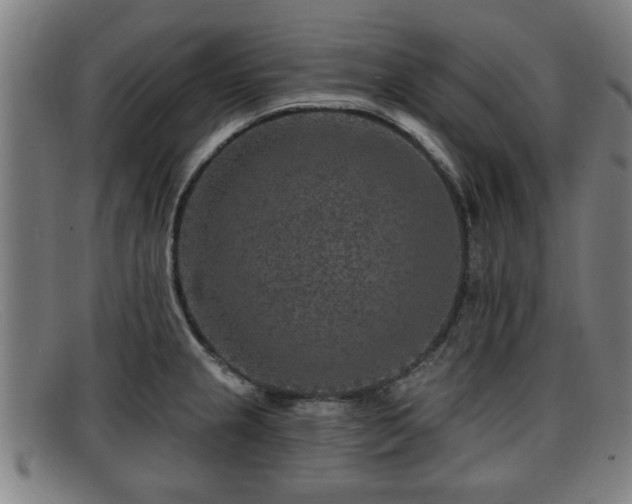X0000091851237200709121304