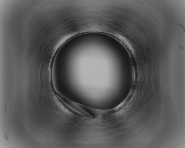 X0000091851238200709121304