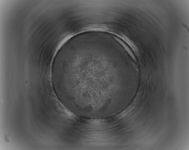 X0000091851240200709121304