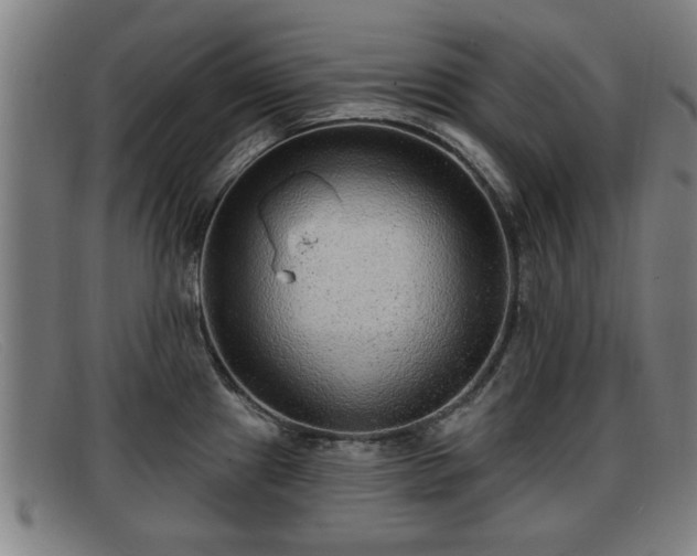 X0000091851241200709121304