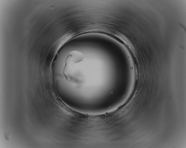 X0000091851242200709121304