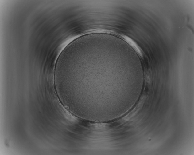 X0000091851244200709121304
