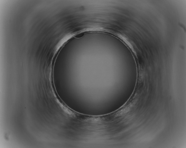 X0000091851245200709121304
