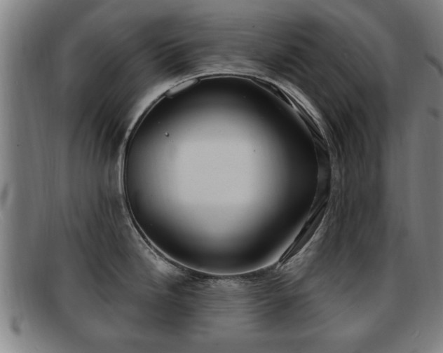 X0000091851246200709121304