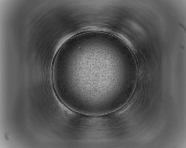 X0000091851247200709121304
