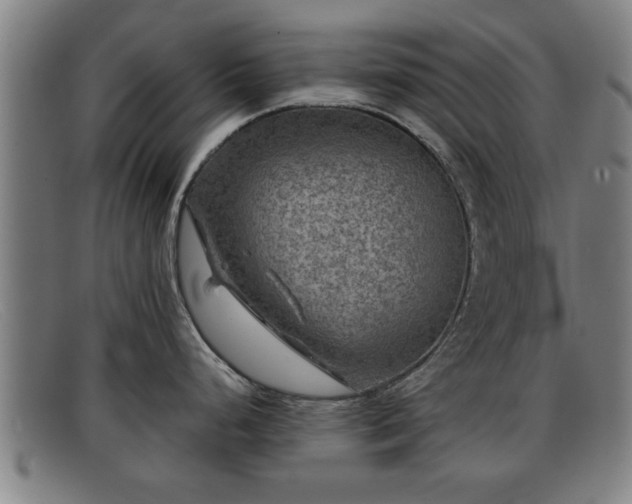 X0000091851248200709121304