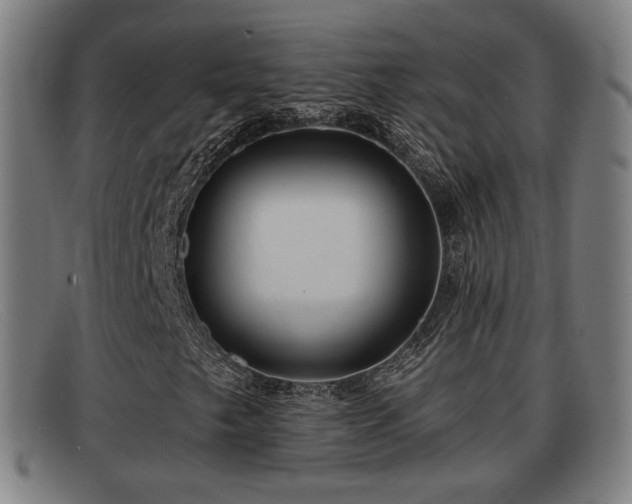 X0000091851249200709121304