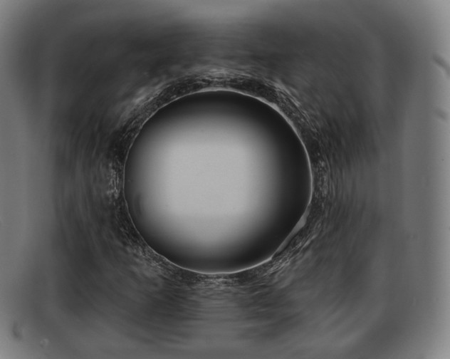 X0000091851253200709121304