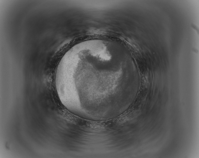 X0000091851254200709121304