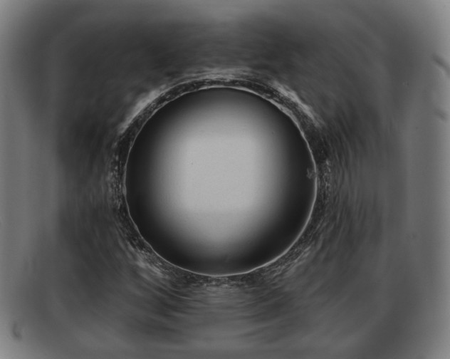 X0000091851256200709121304