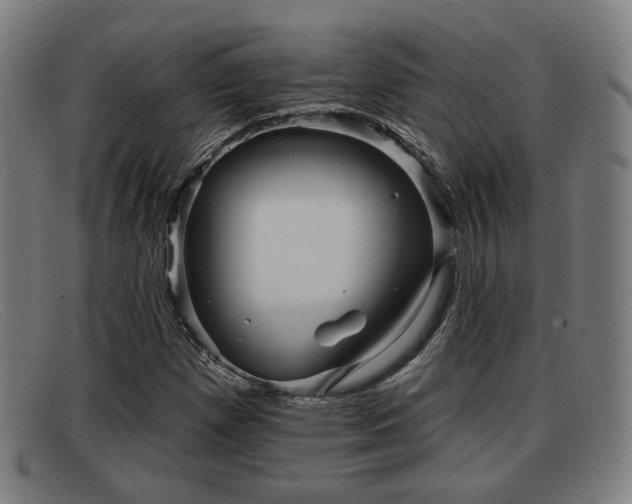X0000091851257200709121304