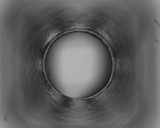 X0000091851258200709121304