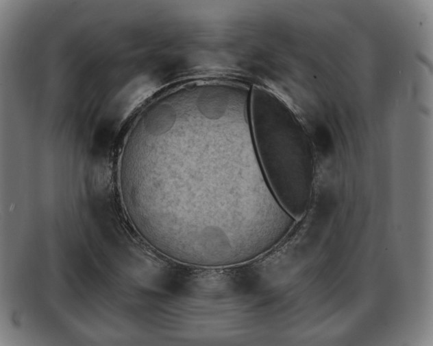 X0000091851259200709121304