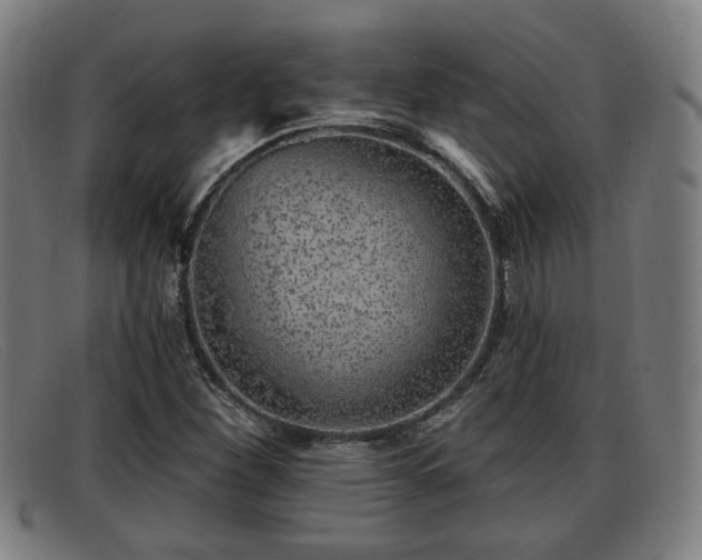 X0000091851260200709121304