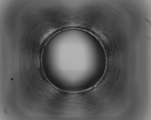 X0000091851262200709121304