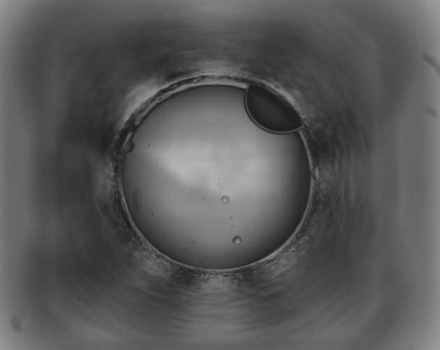 X0000091851263200709121303