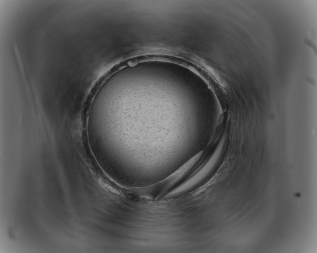X0000091851264200709121303