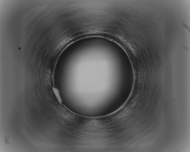 X0000091851265200709121303