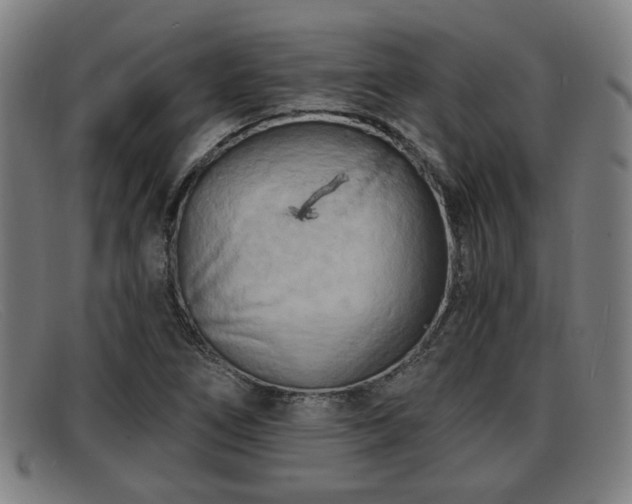 X0000091851266200709121303