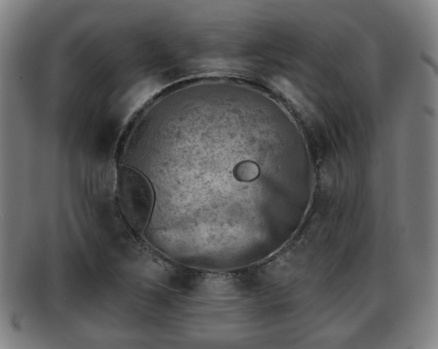 X0000091851267200709121303