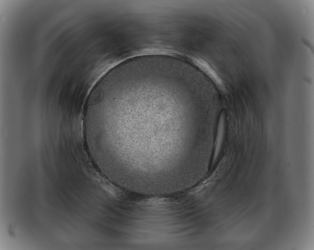 X0000091851268200709121303