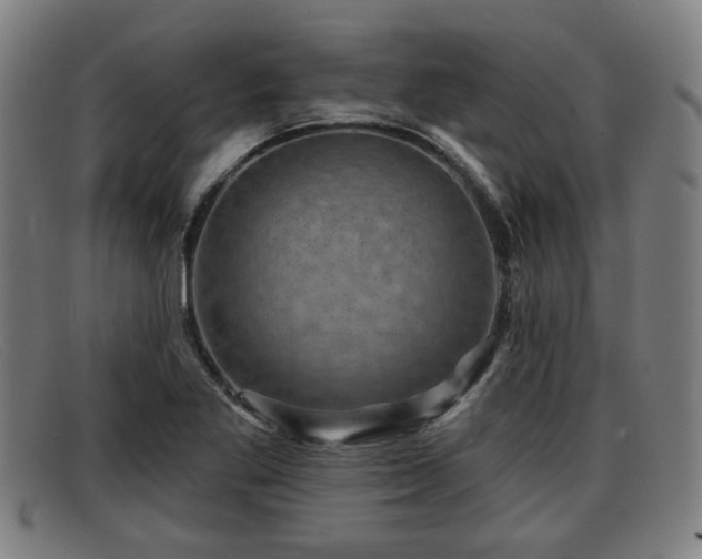 X0000091851269200709121303