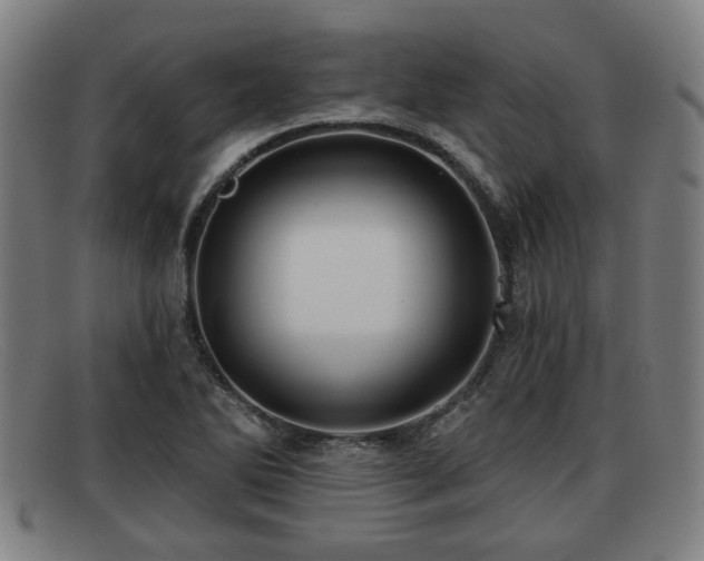 X0000091851270200709121303