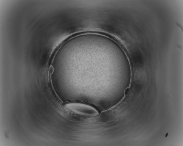 X0000091851271200709121303