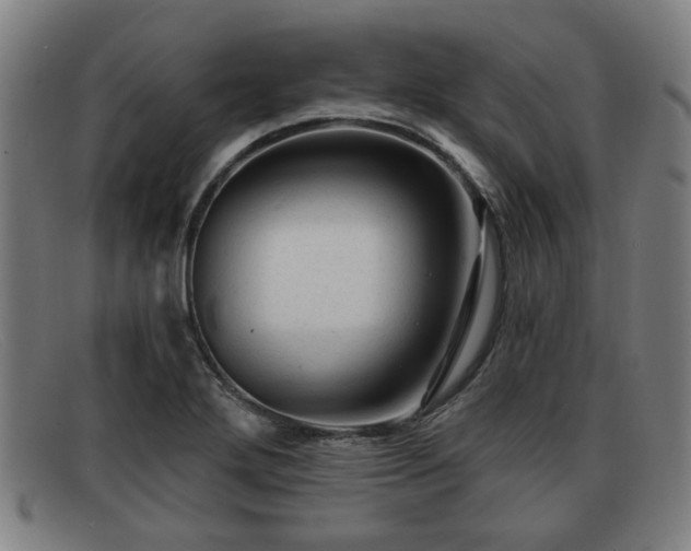 X0000091851272200709121303