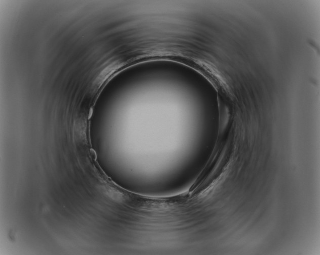 X0000091851273200709121303