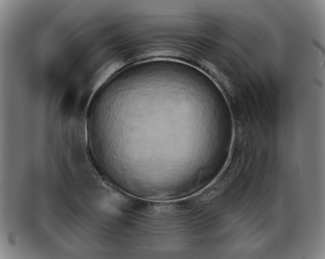 X0000091851274200709121303