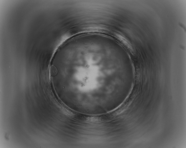 X0000091851275200709121303