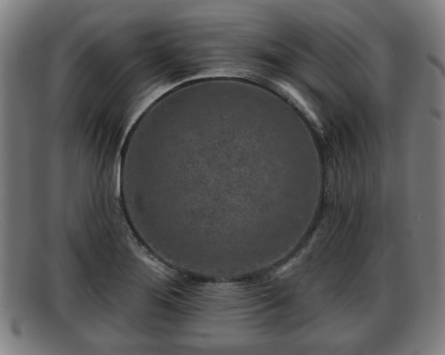 X0000091851276200709121303