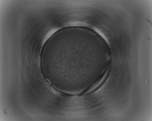 X0000091851277200709121303