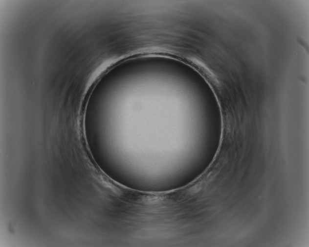 X0000091851278200709121303