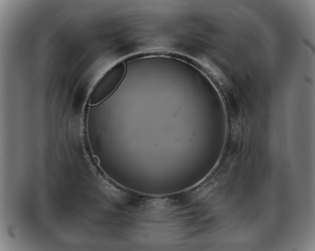 X0000091851279200709121303