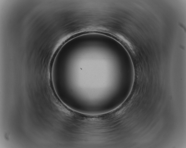 X0000091851280200709121303