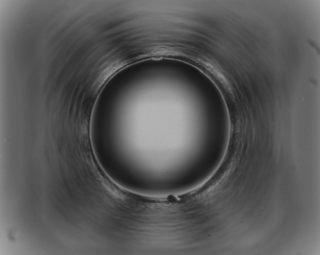 X0000091851281200709121303