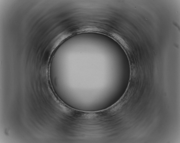 X0000091851282200709121303