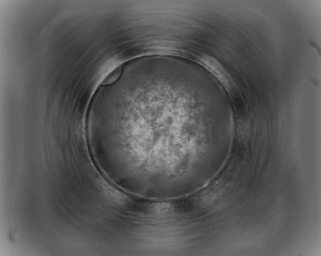 X0000091851283200709121303
