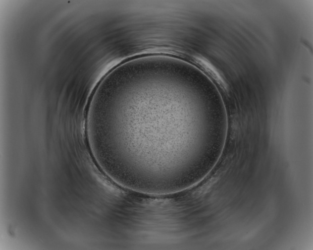 X0000091851284200709121303