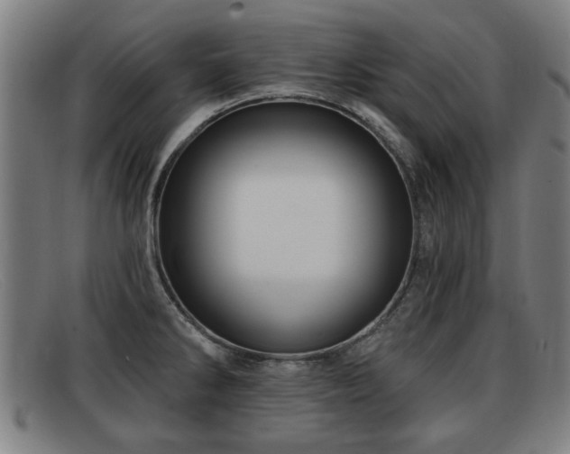 X0000091851286200709121303