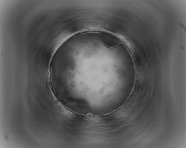 X0000091851287200709121303