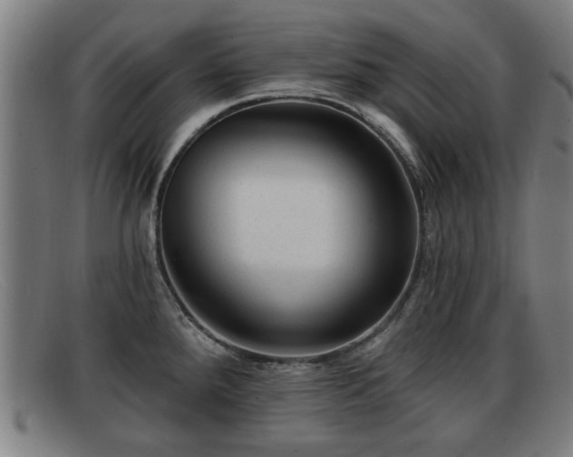 X0000091851288200709121303