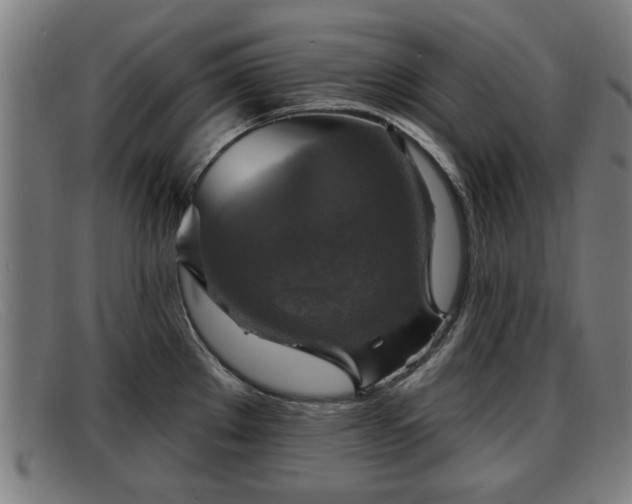 X0000091851289200709121303